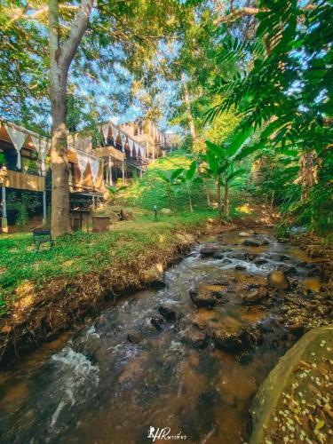 a painting of a stream in a park with trees at ภูธารา กลางดง in Ban Thung Phan Ha