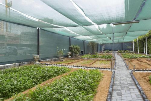 a greenhouse with plants inside of it at Ramada Hotel & Suites by Wyndham Ajman in Ajman 