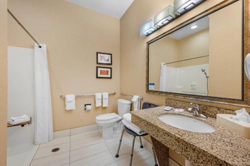 a bathroom with a sink and a toilet and a mirror at Comfort Suites South Bend Near Casino in South Bend