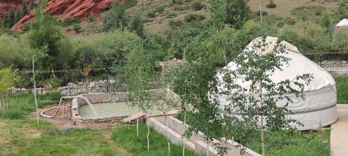 a iguana like structure with a pool in a garden at Kyz Zhibek in Dzhetyoguz