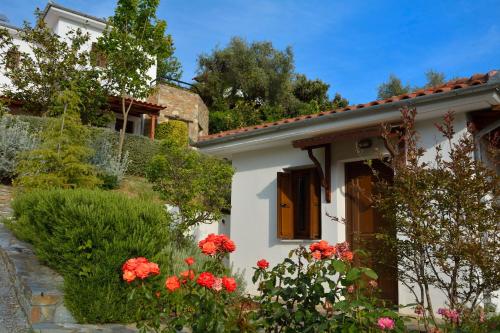 Gallery image of Diplomats' Holidays in Chorto