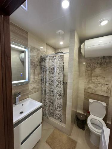 a bathroom with a shower and a toilet and a sink at Театральна Дванадцять in Pervomaysʼk
