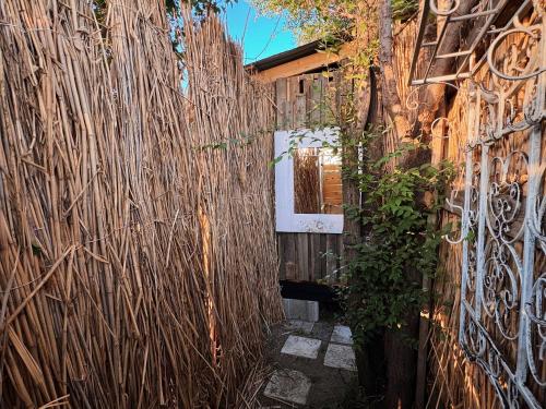 an alley with a wall covered in vines at Family Eco Farm Getaway in Ryskulovo