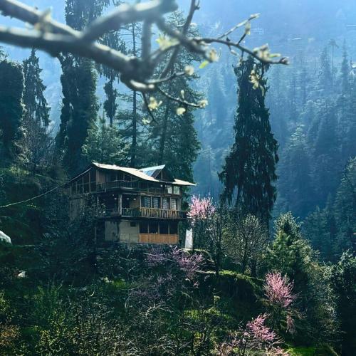a house on the side of a hill with trees at Sunils Cabin 5BHK Glass View Villa Manali in Shirir