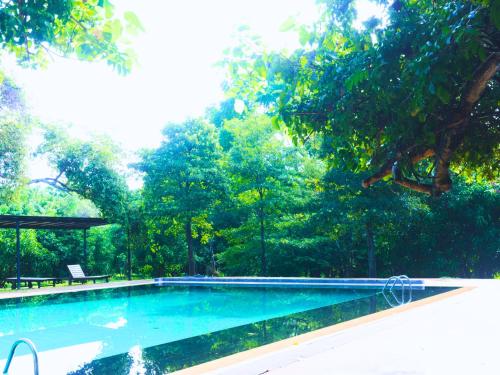 Bazén v ubytování Pinthaliya Resort nebo v jeho okolí