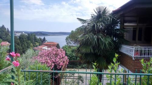 Seaview Oasis