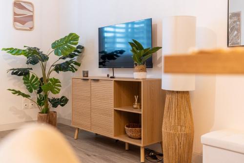 a living room with a tv on a cabinet with two plants at Le Zélia - Studio au coeur de Saint-Denis in Saint-Denis