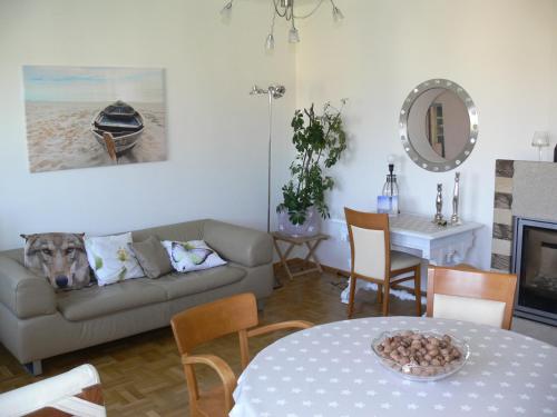 a living room with a dog sitting on a couch at Thermenland in Rudersdorf
