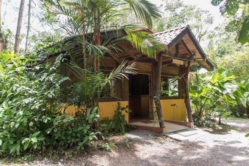 a small house in the middle of a forest at Arenal Oasis Eco Lodge & Wildlife Refuge in Fortuna