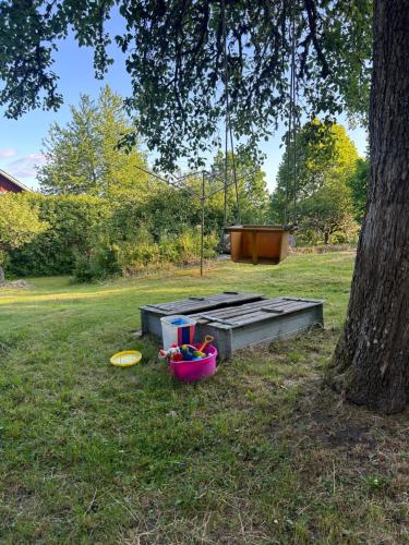 a park with a tree and a basket of frisbees at Skänninge Vimmerby in Vimmerby