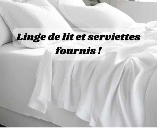 Studio Cosy climatisé 50 mètres de la gare 5 mn du centre 10 mn des plages