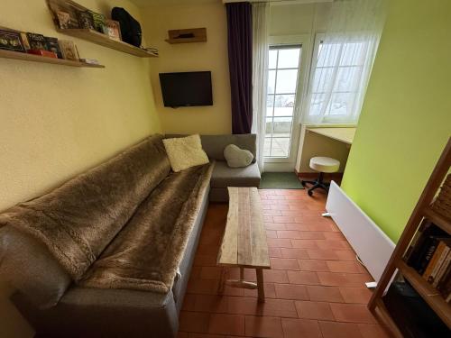 Studio accessible en ski et en voiture