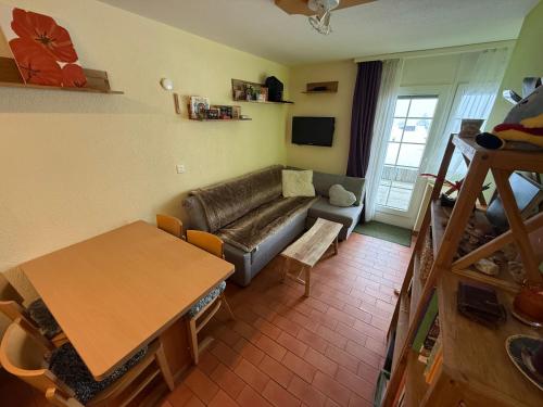 Studio accessible en ski et en voiture
