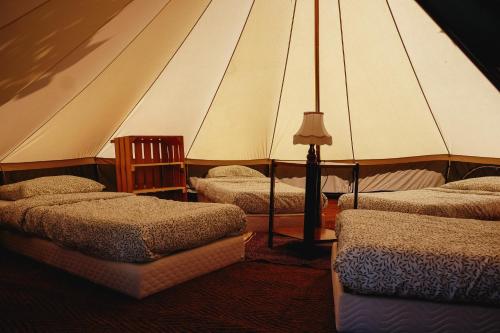une chambre avec 3 lits dans une tente dans l'établissement Tente dortoir partagée - Hegoa Surf Camp Pays Basque, à Saint-Jean-de-Luz