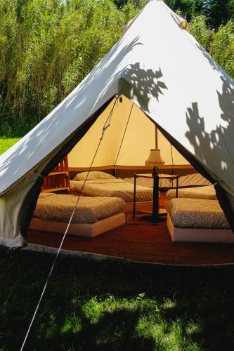 une tente avec plusieurs lits dans un champ dans l'établissement Tente dortoir partagée - Hegoa Surf Camp Pays Basque, à Saint-Jean-de-Luz