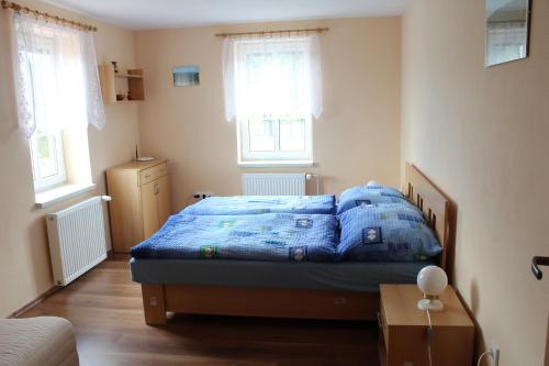 ホイソヴァ・ストラージュにあるŠumavská chalupaのベッドルーム1室(青いシーツ付きのベッド1台、窓2つ付)