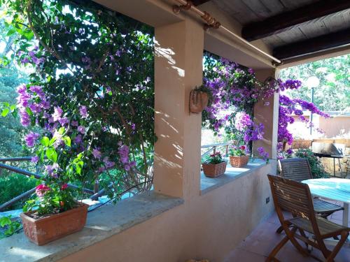 GiannellaにあるCasa bouganvilleの紫の花が咲くパティオ(テーブル、椅子付)