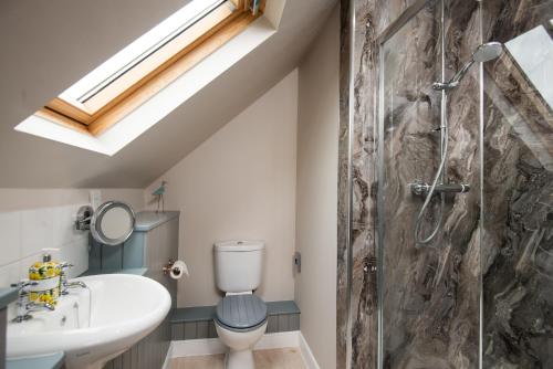 a bathroom with a shower and a toilet and a sink at College Cottage in Wooler