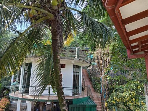 a house with a palm tree in front of it at Ayurweda spa Hotel in Deniyaya