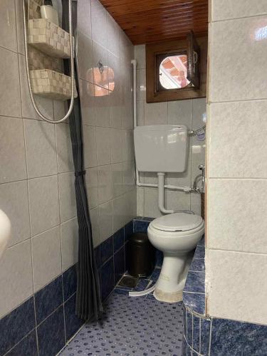 a bathroom with a toilet and a shower at Blue Panorama Diamond in Mákri
