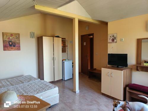 a room with a room with a bed and a television at Вила Фернандес in Chernomorets