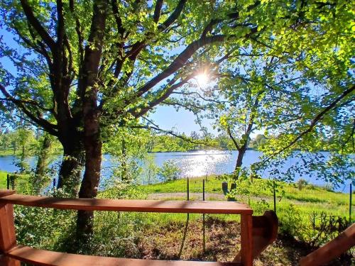 a wooden bench sitting in front of a lake at pilotis du lac avec SPA privatif in Rabastens