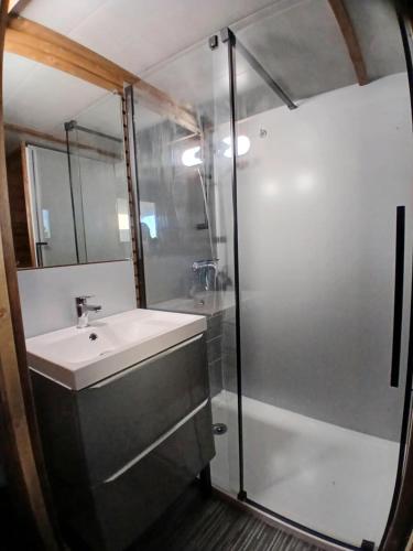 a bathroom with a sink and a shower at pilotis du lac avec SPA privatif in Rabastens