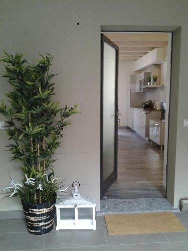 a hallway with a mirror and a potted plant at Como Via Carcano 13 in Como