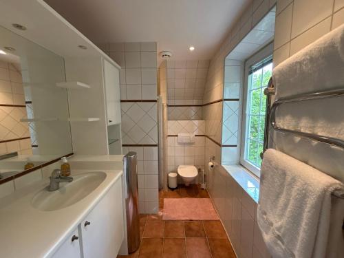 a bathroom with a sink and a toilet at Spacious Falsterbo Villa - Garden, BBQ, Bikes in Skanör med Falsterbo