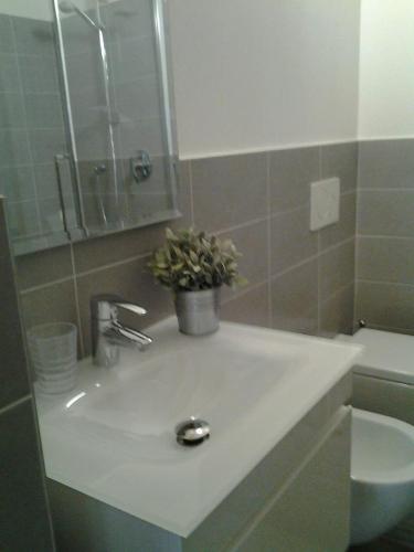 a bathroom with a sink with a potted plant on it at Como Via Carcano 13 in Como