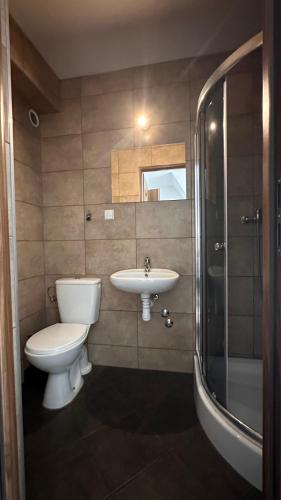 a bathroom with a toilet and a sink and a shower at Willa Agma in Zakopane
