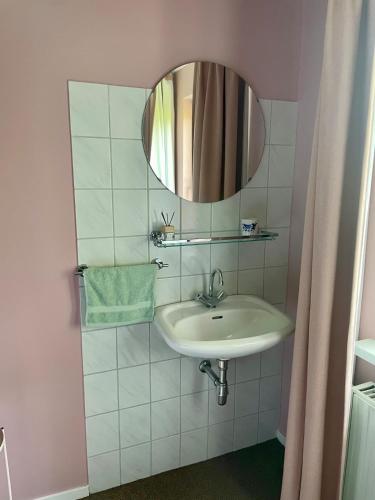 a bathroom with a sink and a mirror at Enjoy the space and countryside at Het Hofhuys in Oosterwolde