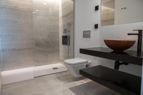 a bathroom with a shower and a toilet and a sink at Granxa D Outeiro in Ribadavia