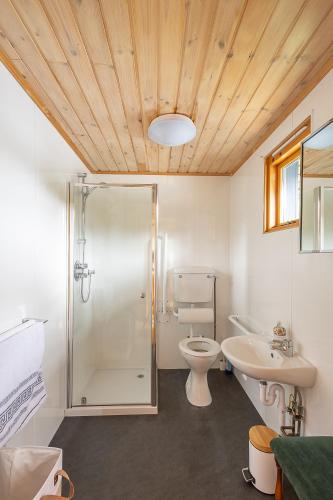 a bathroom with a shower and a toilet and a sink at JEM Lodge in Stocksfield