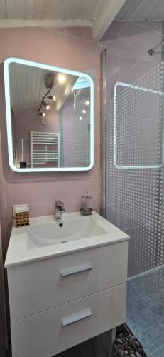 une salle de bain avec un lavabo et une douche avec un miroir dans l'établissement 
