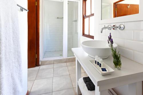 a white bathroom with a sink and a shower at Leipzig Country House & Winery in Nuy