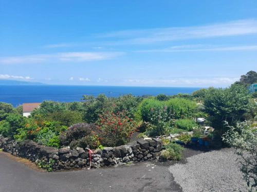 a garden with flowers and trees and the ocean at Lost in Thyme in Lajes do Pico