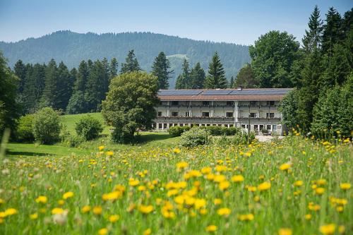 Příroda nedaleko bed and breakfast