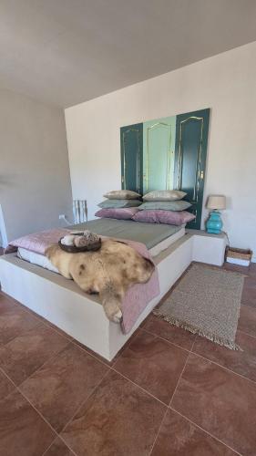 Ένα ή περισσότερα κρεβάτια σε δωμάτιο στο B&B Finca Conchales