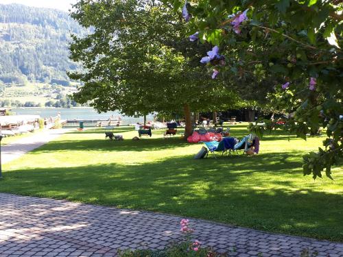 a person laying on a park bench under a tree at VERONIKA Haus KMB Seeappartement am Ossiacher See mit direktem Seezugang und Hallenbad in Tschöran