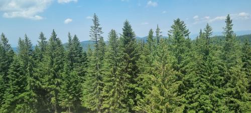 Fotografie z fotogalerie ubytování Apartment 505 - Zlatni javor v destinaci Jahorina