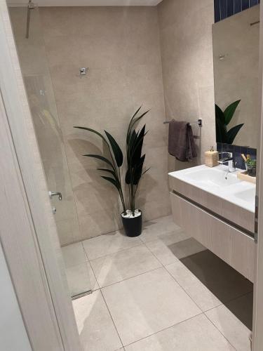 a bathroom with a sink and a potted plant at Blue Bay Appart hôtel in Monastir