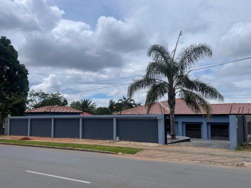 a building with a palm tree next to a street at Goldman Florida Guesthouse in Roodepoort