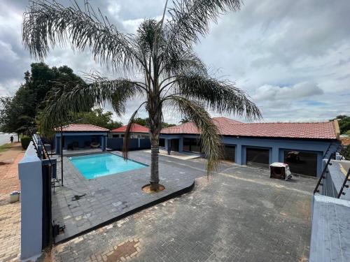a palm tree in front of a house with a swimming pool at Goldman Florida Guesthouse in Roodepoort