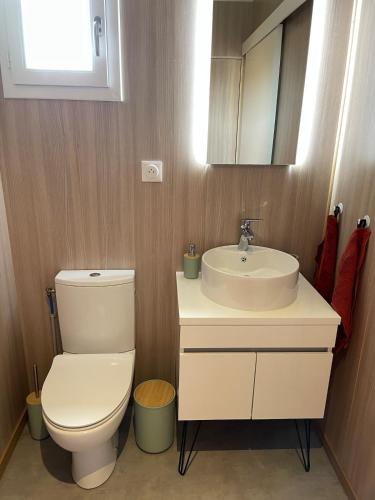 a bathroom with a toilet and a sink at Cocon avec spa et vue imprenable in Chindrieux
