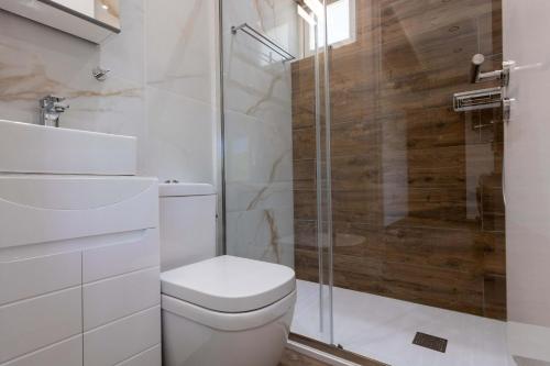 a bathroom with a toilet and a glass shower at Palaiomylos Forest Residence 