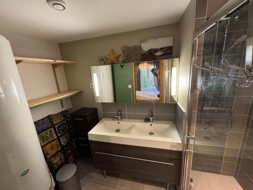 un bagno con lavandino e doccia di Marais Inn, maison typique avec piscine et jardin arboré, 10 kms Niort a Sansais