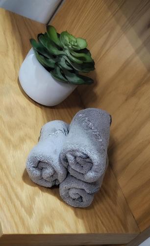 a towel sitting on a table next to a plant at CAROLA l, "Encantador apartamento de estilo marinero a 100m playa Catia" in Ribeira