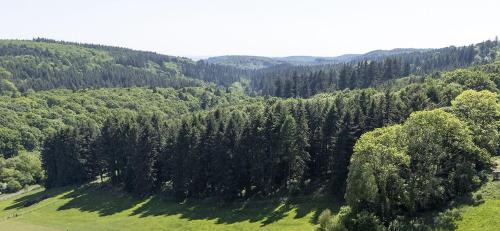 Fotografie z fotogalerie ubytování Orchard Barn v destinaci Little Dean