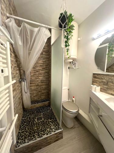 une salle de bain avec une douche avec des toilettes et un lavabo dans l'établissement Studio Rock wood, à La Grande Motte